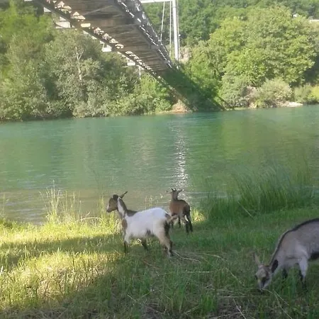 Sadba Habitación en casa particular