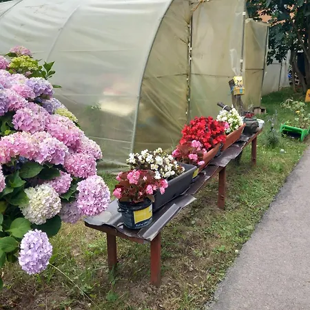 Habitación en casa particular Sadba Gorazde