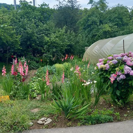 Sadba Alloggio in famiglia *