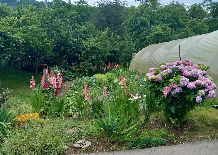 Sadba Quarto em Acomodações Particulares *